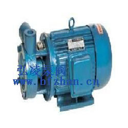 1W型單級漩渦泵
