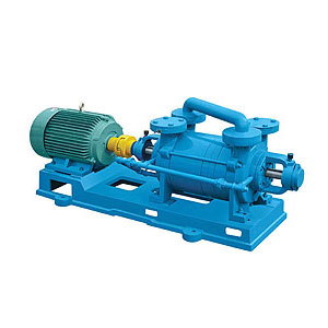 2SK系列不銹鋼兩級水環(huán)真空泵