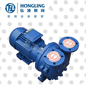 2BV水環(huán)式真空泵