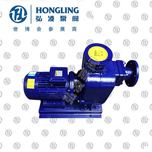 ZWL直聯式自吸排污泵