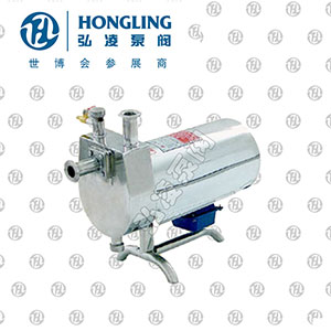 ZXB衛(wèi)生自吸泵|飲料泵|奶泵